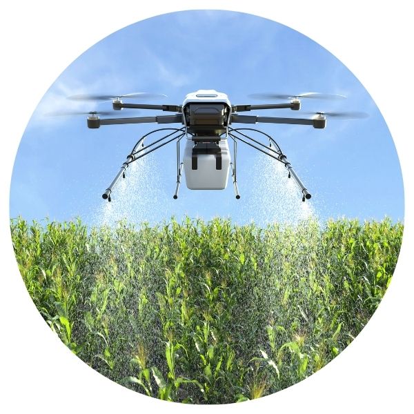 Seed Bombing for Green India